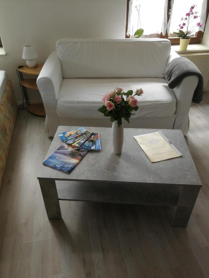 Appartement Zur Alten Post à Pirna Extérieur photo